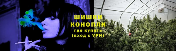 ECSTASY Белокуриха