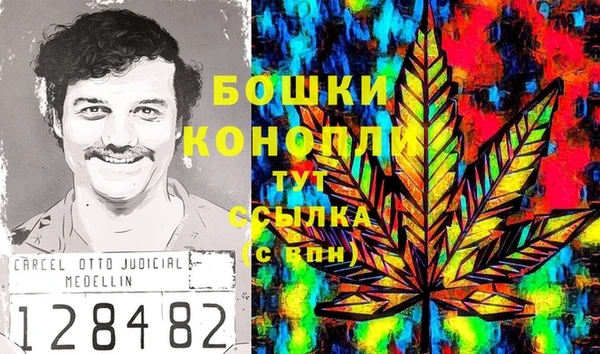 PSILOCYBIN Белоозёрский