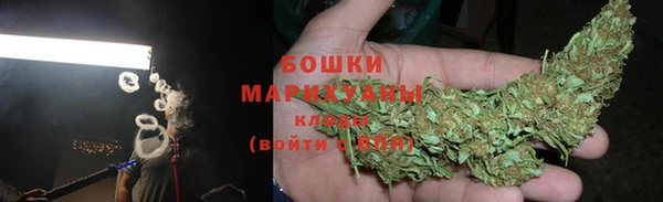 PSILOCYBIN Белоозёрский