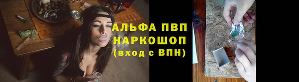 PSILOCYBIN Белоозёрский