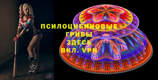 ECSTASY Белокуриха