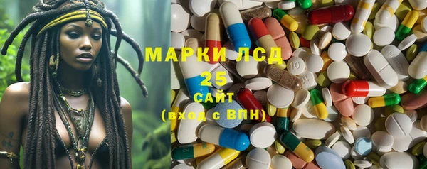 ECSTASY Белокуриха